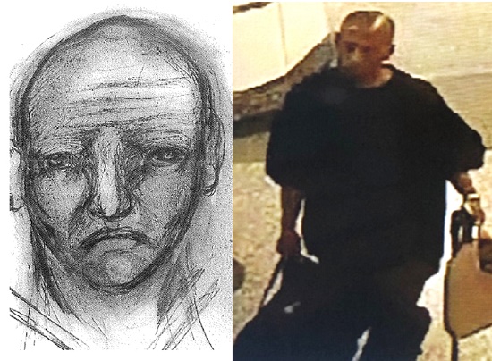 Train rape suspect