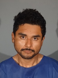 Fernando Venancio Jr.
