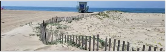 Santa Monica Beach Restoration Project