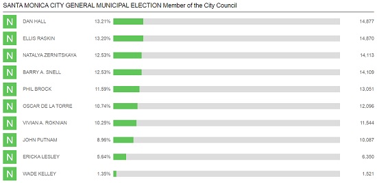 Updated Council Race Results