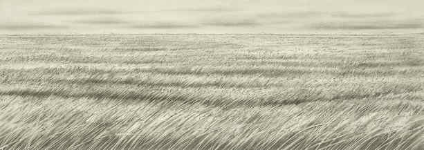 "Grasses" by Marta Chaffee